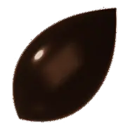 De vorm van de praline Banaan, in pure chocolade