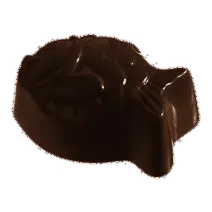 De vorm van de praline Orange, in pure chocolade